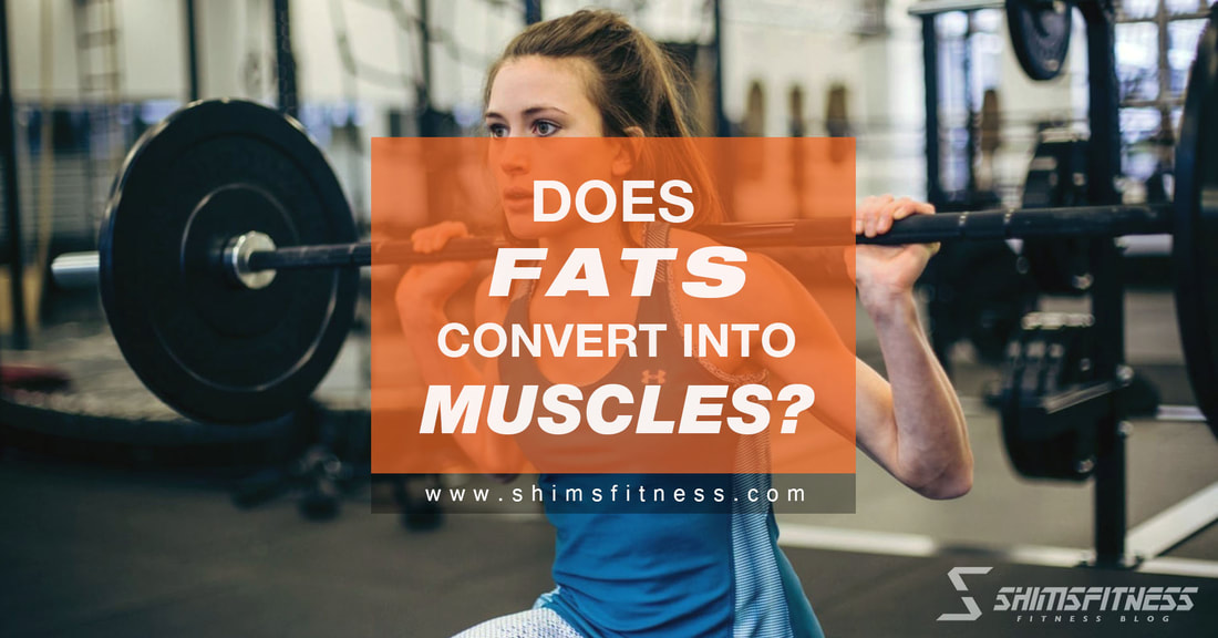 fats convert into muscles