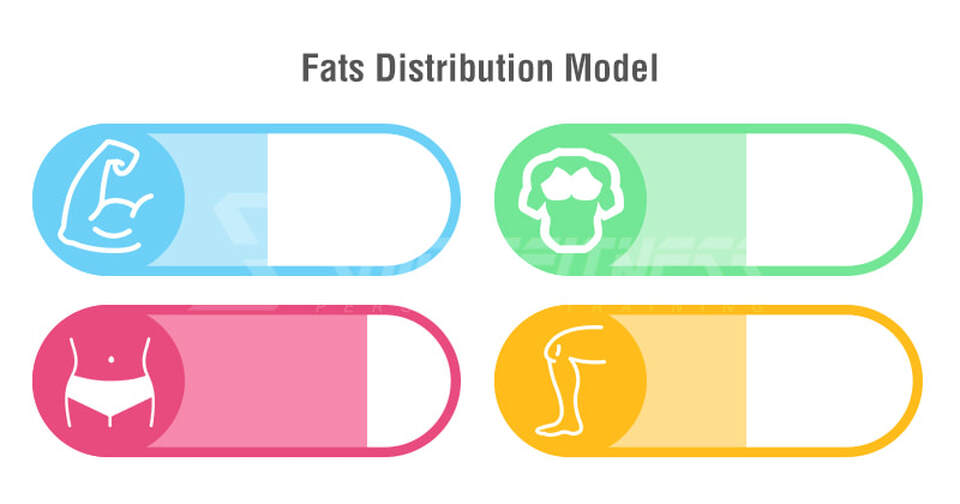 fats distribution stubborn fat